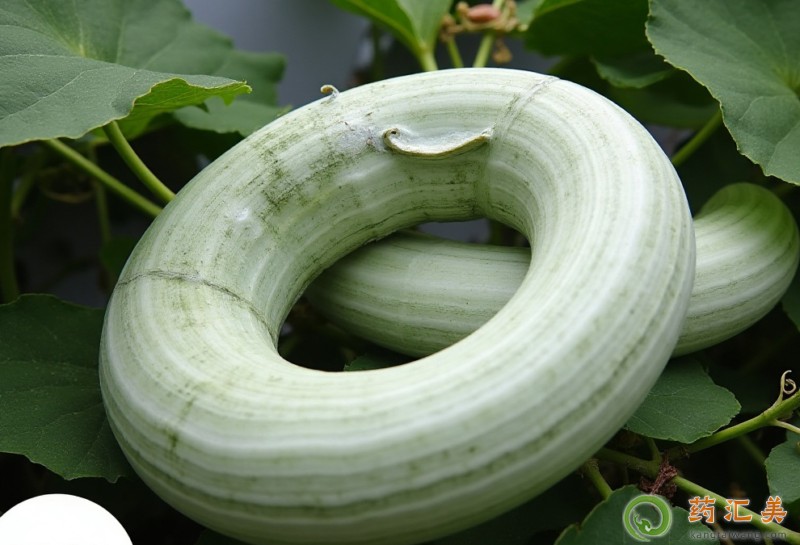 胰腺炎可以吃蛇瓜嗎