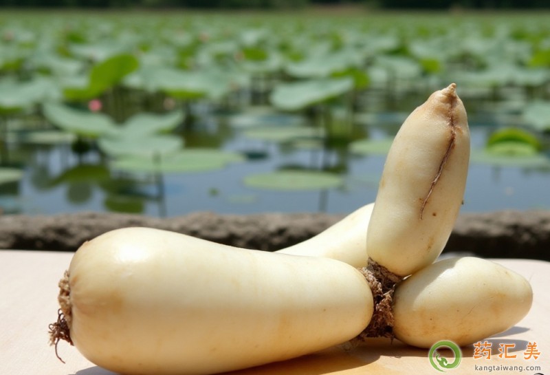 藕的藥用秘方