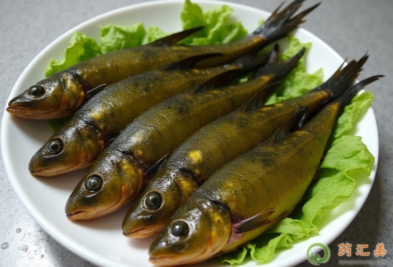 胰腺炎恢復期可以吃黃骨魚嗎 胰腺炎恢復期可以吃黃骨魚嗎