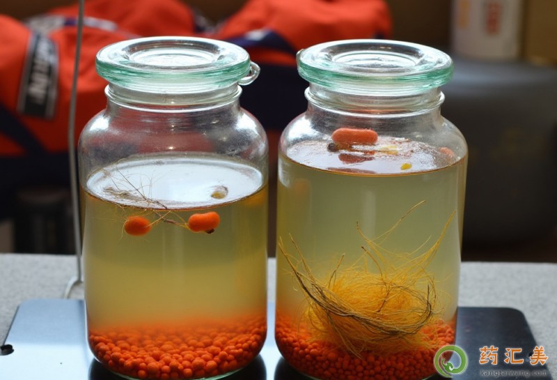 5個補腎壯陽泡酒配方 5個補腎壯陽泡酒配方