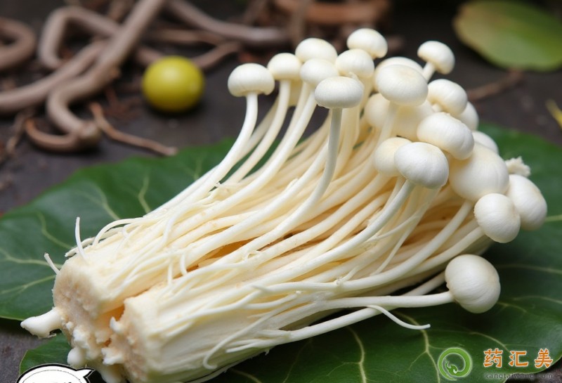 金針菇的基本介紹 金針菇的基本介紹