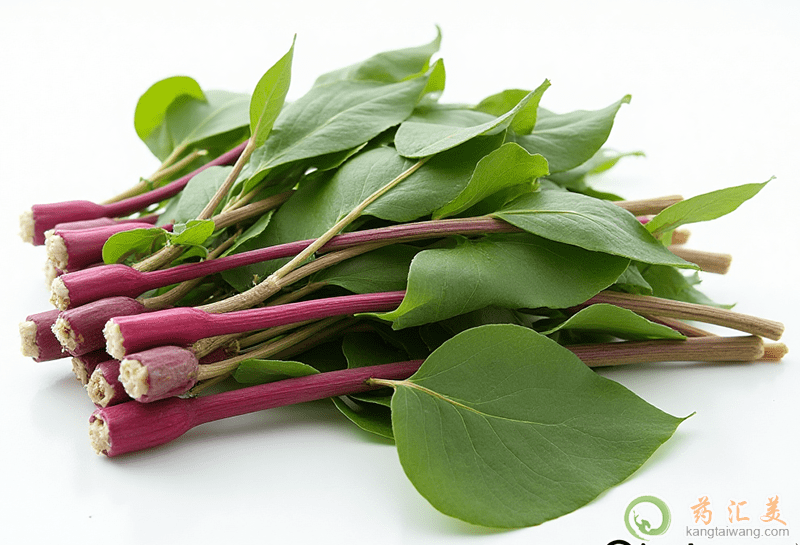 失眠可以吃紅菜苔 失眠可以吃紅菜苔