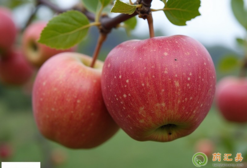 胃炎吃蘋果好 胃炎吃蘋果好