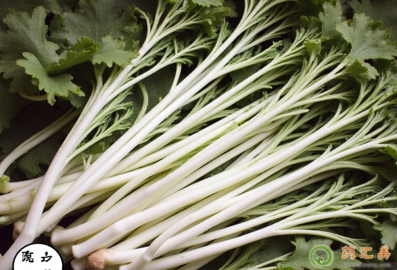 便秘吃雪里蕻好 便秘吃雪里蕻好