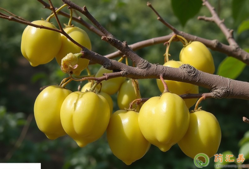 ҵĠI(yng)B(yng)r(ji)ֵ