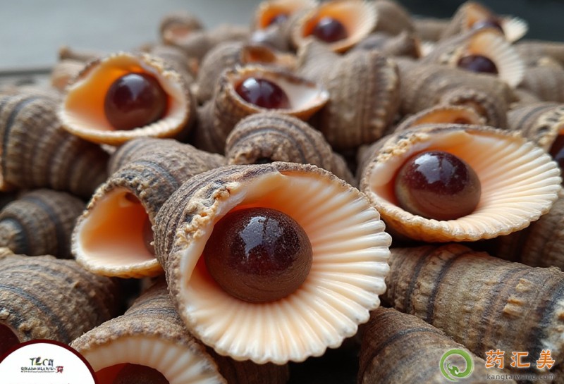 海螺和什么食物相克不能一起吃 海螺和什么食物相克不能一起吃