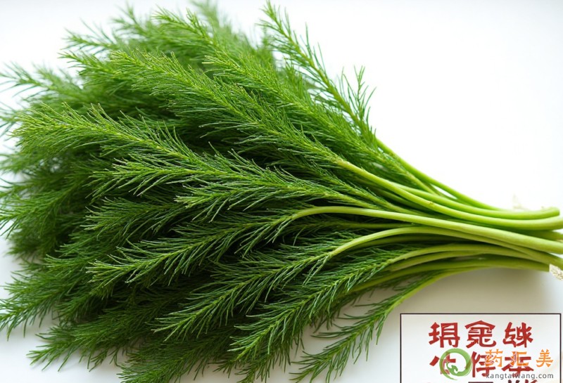 胰腺炎出院后能吃茴香嗎 胰腺炎出院后能吃茴香嗎