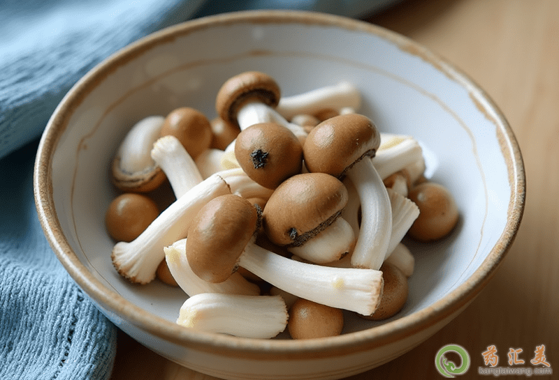 зζĠIB(yng)r(ji)ֵ