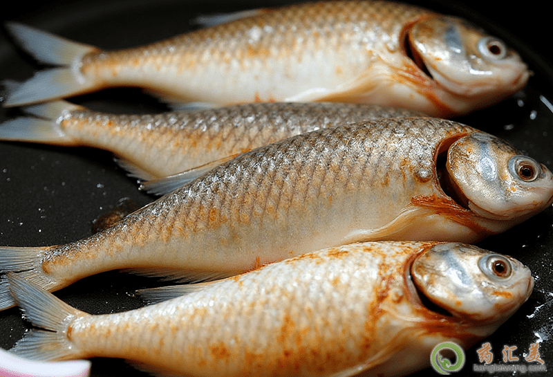 華子魚的功效與作用 華子魚的功效與作用