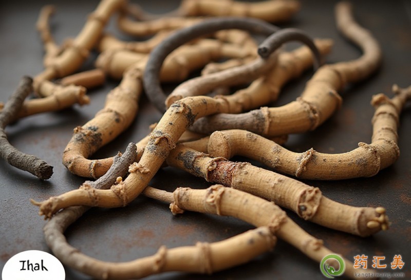 可以補腎壯陽的中藥有哪些 可以補腎壯陽的中藥有哪些