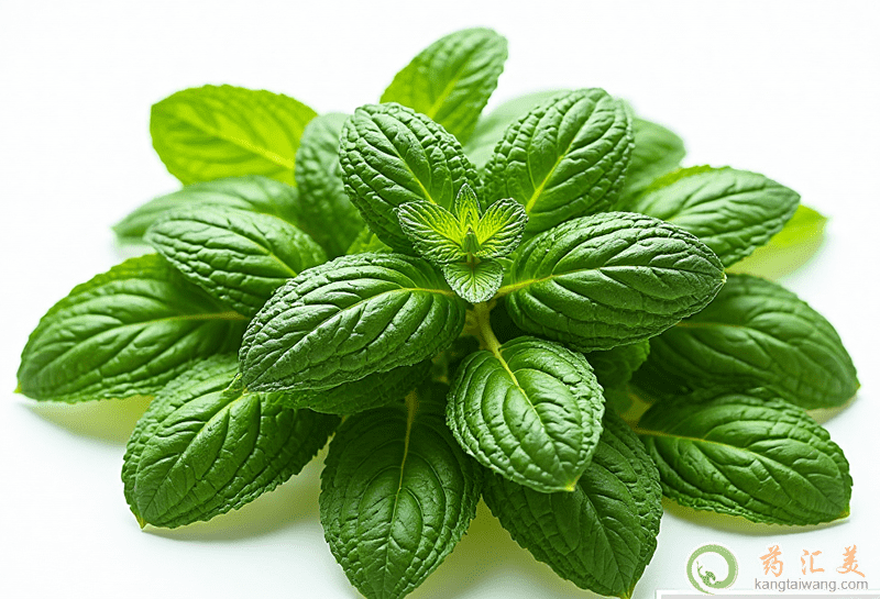 薄荷的營養(yǎng)價值 薄荷的營養(yǎng)價值