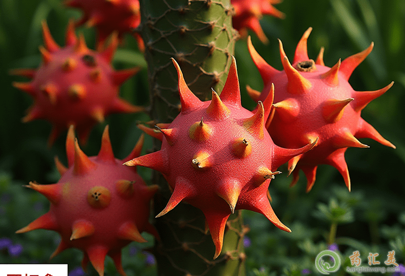 減肥瘦肚子的方法 減肥瘦肚子的方法